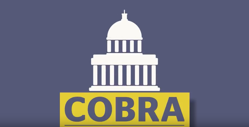 cobra